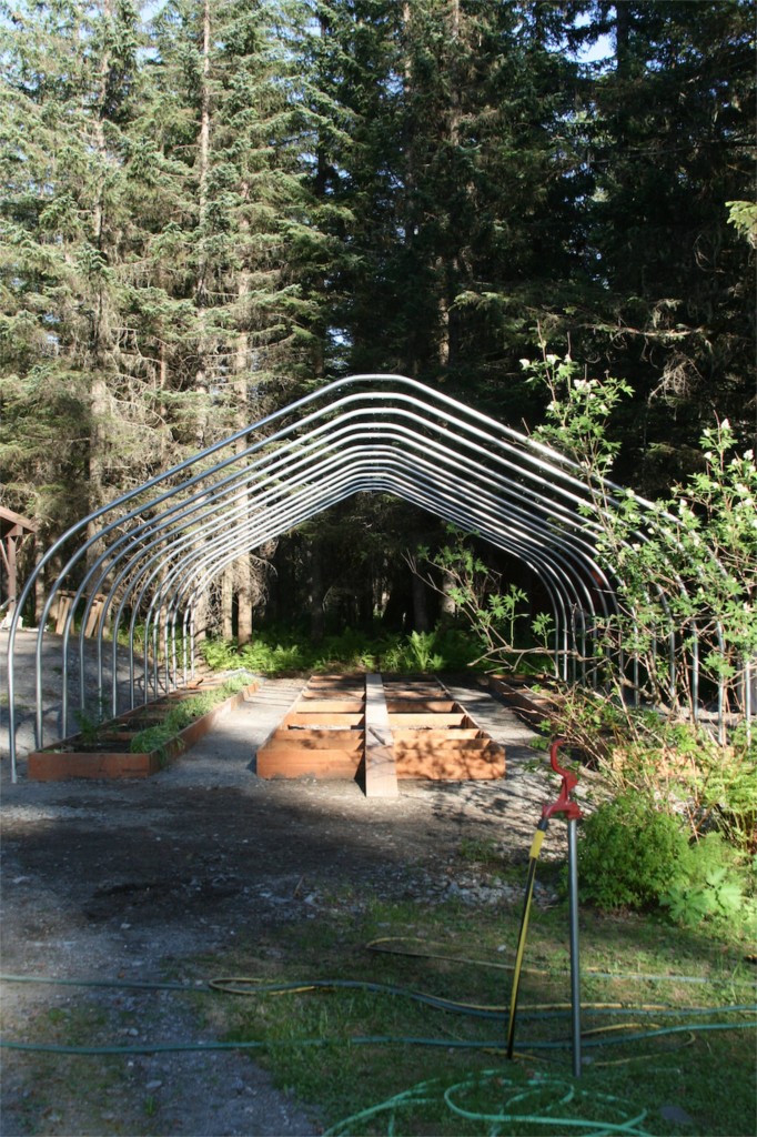 Alpine Garden & Hearth High Tunnel Greenhouse